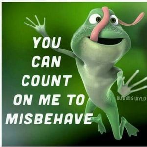 Meet your Posher, The